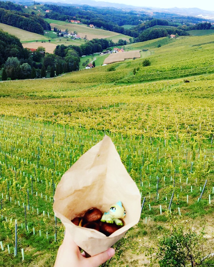 Chesnuts and Marquis on an Austrian Hillside | Photo: Elise Dean